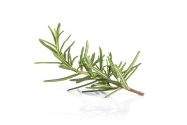 Beyaz arka plan üzerinde izole tek biberiye dalı.