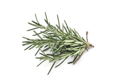 Beyaz arka plan üzerinde izole birkaç biberiye dal görünümü Kapat.