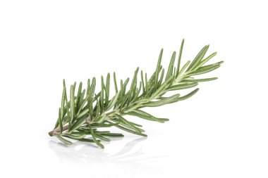 Beyaz arka plan üzerinde izole tek biberiye dalı.