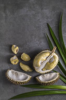 Durian, koyu arka plan üzerinde meyve tatlı kralı üstten görünüm.