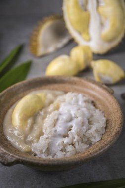 Yakın görünümü sosunun tatlı yapışkan pirinç ile Durian ve Hindistan cevizi sütü, Tayland Gıda.