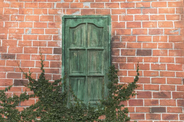 Brick wall with green door covered in ivy