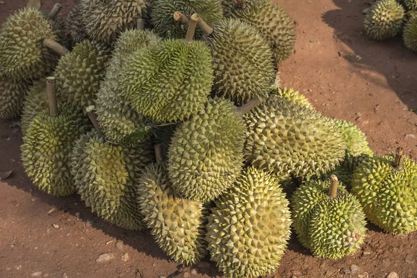 Grupo Frutas Durianas Malcheirosas Mercado Tailândia — Fotografia de Stock