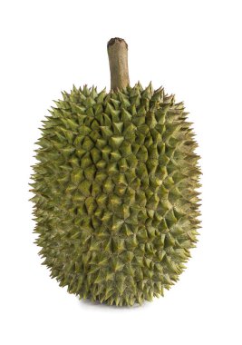 Meyvelerin kralı, beyaz arka planda durian..