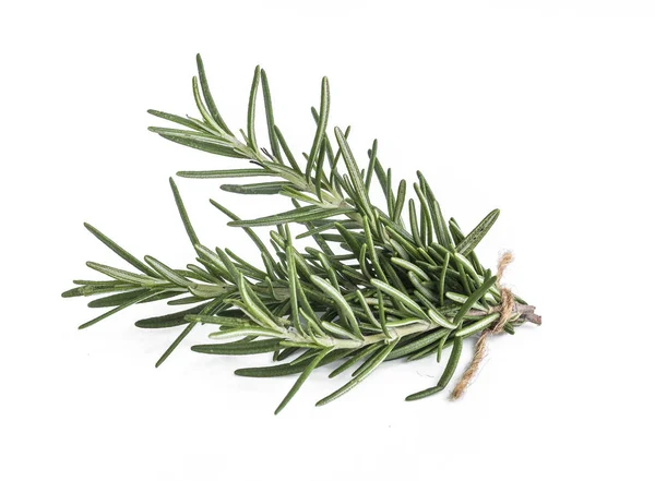 Close View Few Rosemary Branches Isolated White Background — Stock Photo, Image