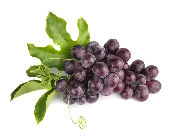 Kiść Winogron Zielonych Liści Białym Tle — Zdjęcie stockowe