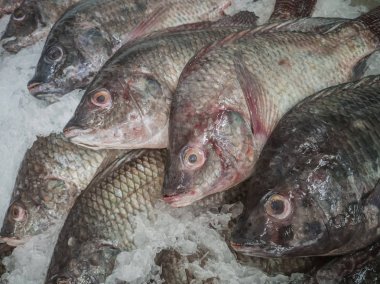 Taze balık pazarında, Tayland.