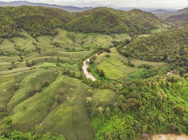 Tayland Dağı'nda Mısır Sanayi. Uçağı hava fotoğrafı.