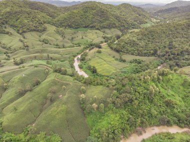 Tayland Dağı'nda Mısır Sanayi. Uçağı hava fotoğrafı.
