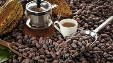 Kakao çekirdekleri ve kakao meyve Çaydanlık ve çikolata ile.