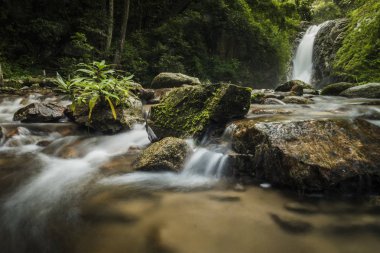 Yumuşak su akışı doğal Park, Tran Sawan şelale, Tayland.