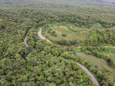 En iyi görünüm, kırsal Road, yeşil orman ve kırsal Tayland üzerinden yol. Üstten görünüm. Uçağı hava fotoğrafı.