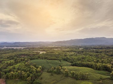 Kırsal manzara, alan Mısır hasat için hazır dağlarda.