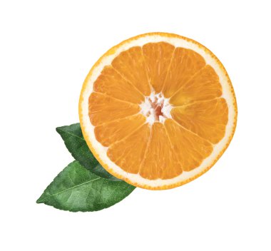 Beyaz arka plan üzerinde izole yaprakları ile turuncu meyve dilimlenmiş