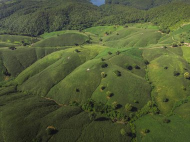 Tayland Dağı'nda Mısır Sanayi. Uçağı hava fotoğrafı.