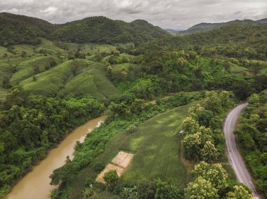 Tayland Dağı'nda Mısır Sanayi. Uçağı hava fotoğrafı.