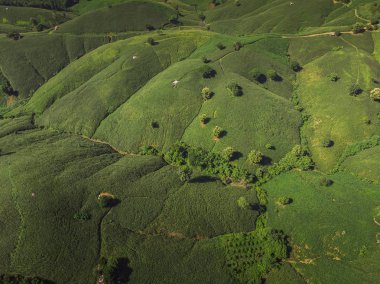 Tayland Dağı'nda Mısır Sanayi. Uçağı hava fotoğrafı.