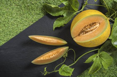 Kavun kopya alanı zemin üzerine yeşil yaprakları ile kesmek.