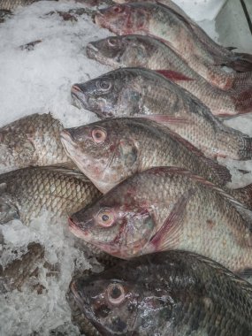 Taze balık pazarında, Tayland.