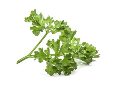 Maydanoz beyaz arkaplanda izole.