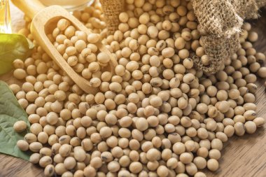 soya fasulyesi tahta kaşıkla closeup çuval dağınık