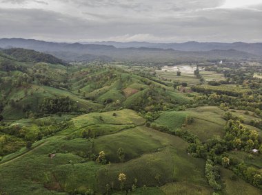 Kırsal manzara, alan Mısır hasat için hazır dağlarda.