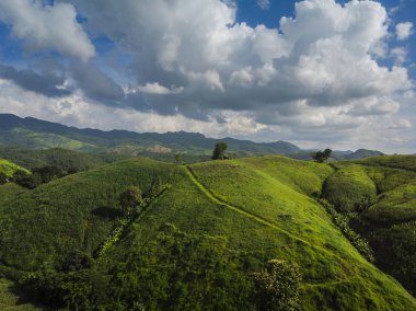 Tayland Dağı'nda Mısır Sanayi. Uçağı hava fotoğrafı.