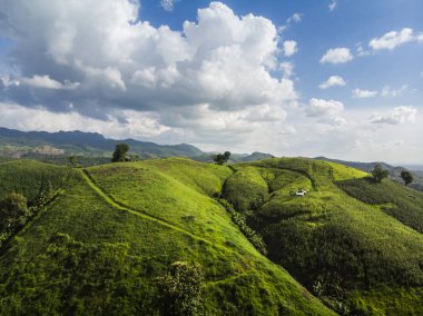 Tayland Dağı'nda Mısır Sanayi. Uçağı hava fotoğrafı.