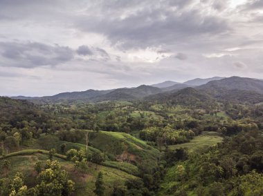 Kırsal manzara, alan Mısır hasat için hazır dağlarda.
