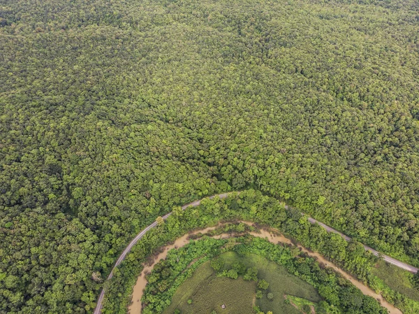 Top View of Rural Road, Path through green forest and countryside of Thailand. Top view. Aerial photo from drone.