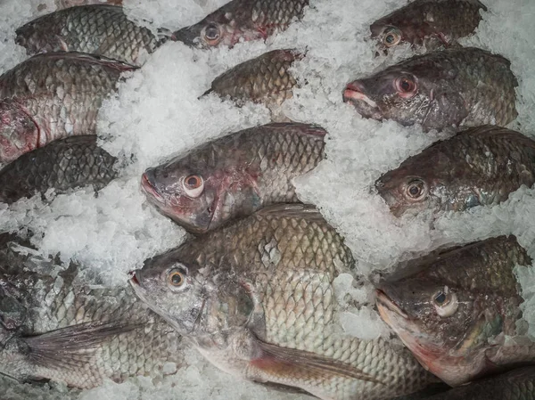 Pesce Fresco Nel Mercato Thailandia — Foto Stock