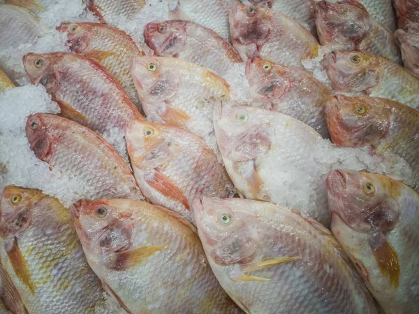 Pesce Fresco Nel Mercato Thailandia — Foto Stock