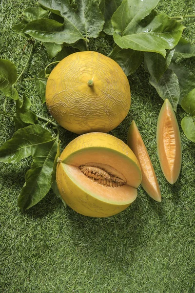 Cut and whole melons on green background.