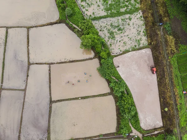 Vista Aérea Desde Dron Los Campos Arroz — Foto de Stock