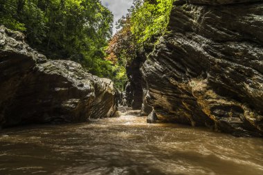 Görünüm sonbahar Creek Wangsirareng Nan, Tayland.