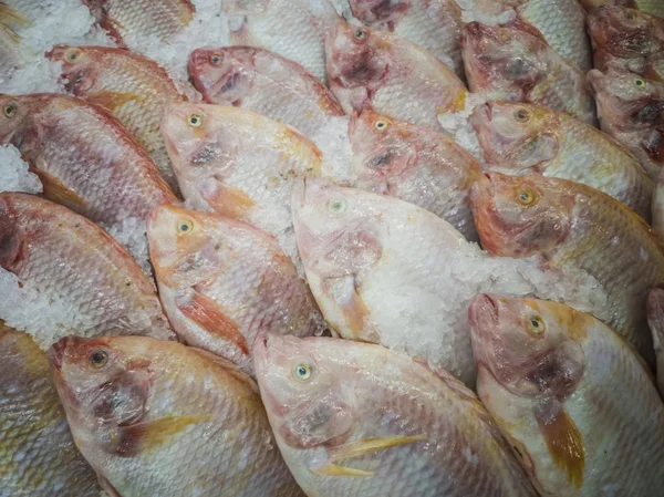 Pesce Fresco Nel Mercato Thailandia — Foto Stock