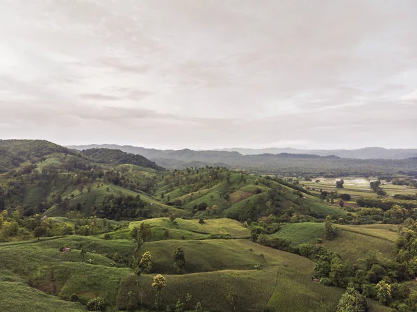 Kırsal manzara, alan Mısır hasat için hazır dağlarda.