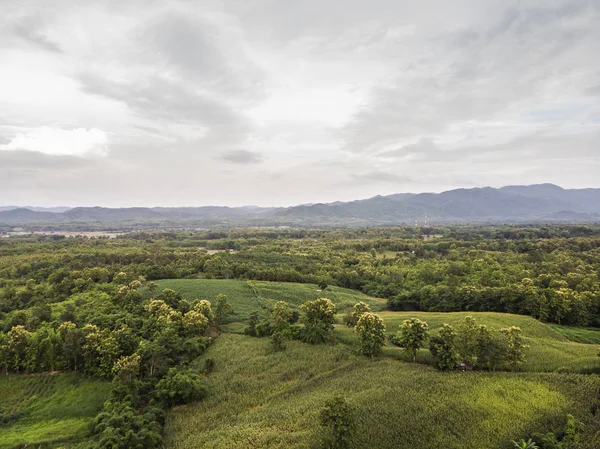 Kırsal manzara, alan Mısır hasat için hazır dağlarda.