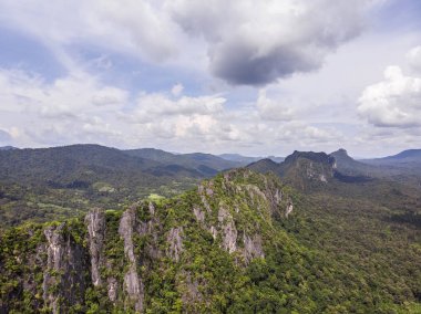 Yeşil orman ve Tayland kırsal yoluyla Yol, Top v