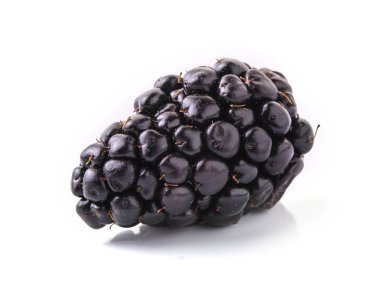 Taze böğürtlenin yakın çekim çekimi. Beyaz üzerine izole 