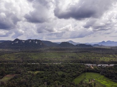 Yeşil orman ve Tayland kırsal yoluyla Yol, Top v