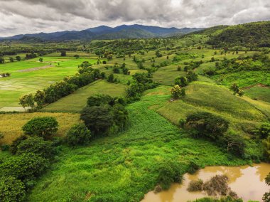 Tayland Dağ'da Mısır sanayi.