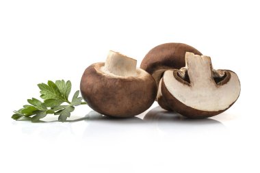 Beyaz arka planda izole edilmiş taze şampiyon mantarları