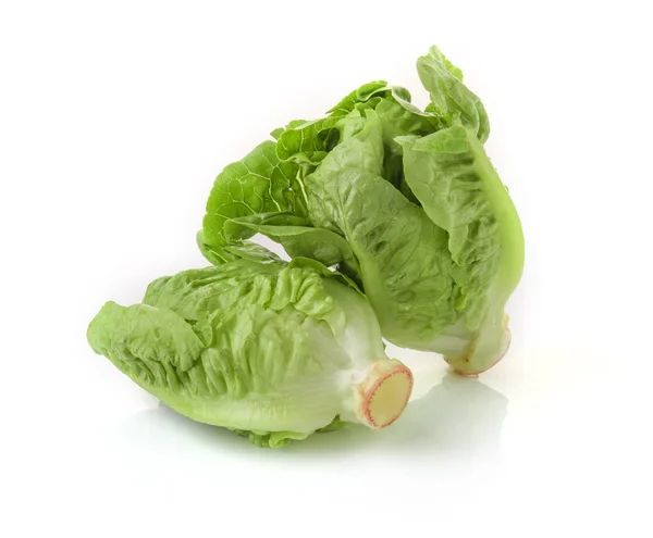 Romain Salat isoliert auf einem weißen — Stockfoto