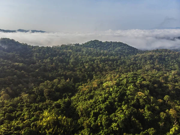 Paysage du brouillard du matin avec couche de montagne au nord de Thail — Photo