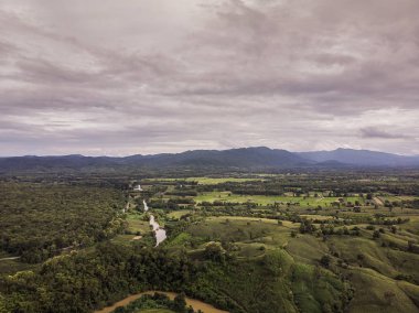 Yeşil orman ve Tayland kırsal yoluyla Yol, Top v