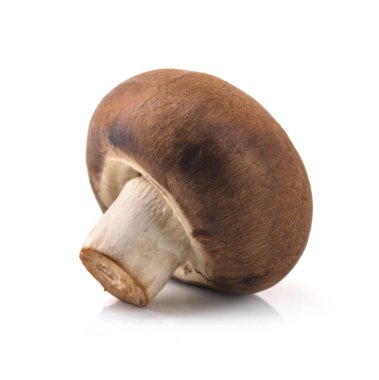 Beyaz arka planda izole edilmiş taze şampiyon mantarları