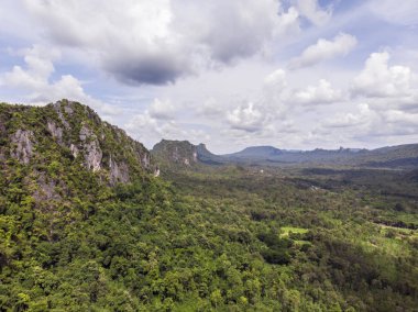 Yeşil orman ve Tayland kırsal yoluyla Yol, Top v