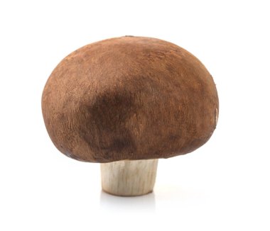 Beyaz arka planda izole edilmiş taze şampiyon mantarları