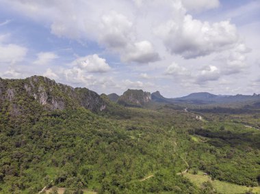 Yeşil orman ve Tayland kırsal yoluyla Yol, Top v